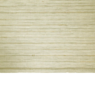 Auralo Cordless Waterproof Mist Bamboo Shade
