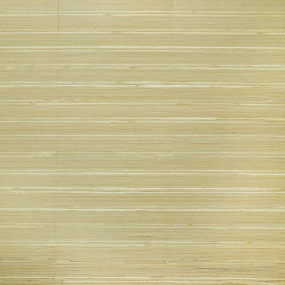 Auralo Cordless Waterproof Malt Bamboo Shade