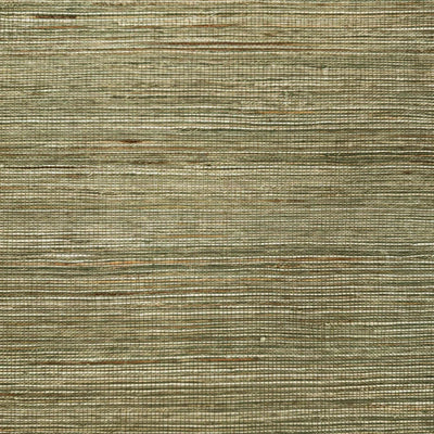 Auralo Aureate Reed Bamboo Shade