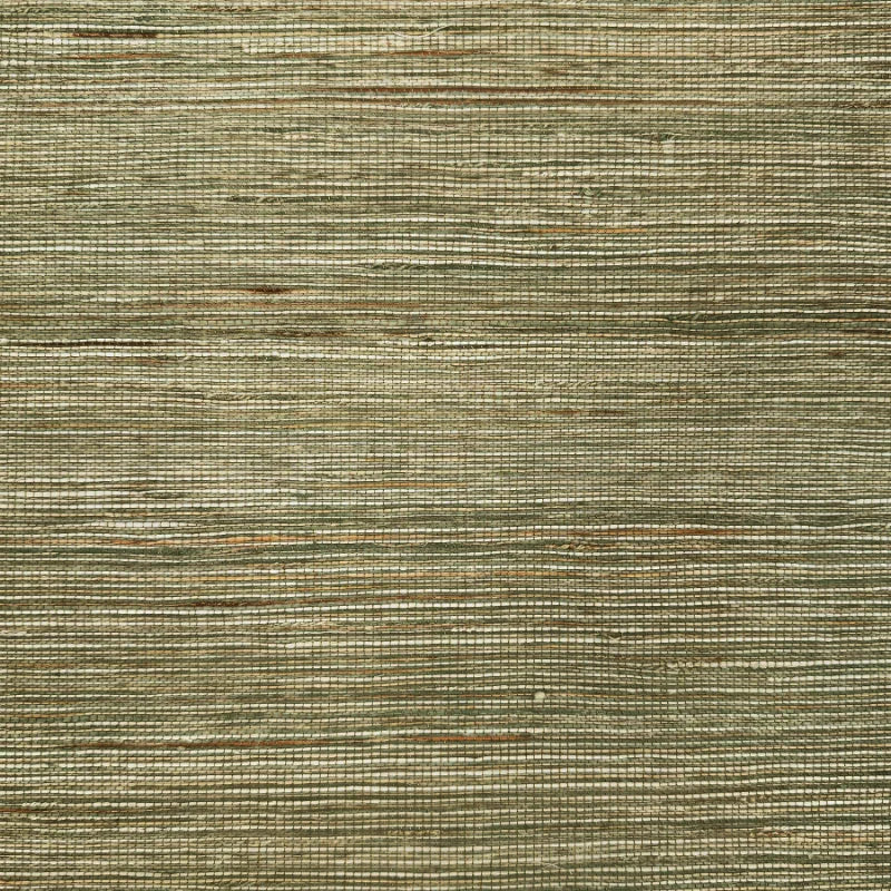 Auralo Aureate Reed Bamboo Shade