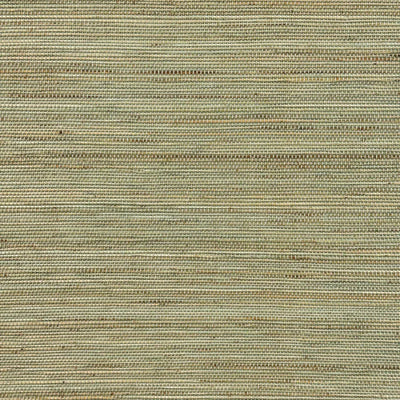 Veyra Blackout No Drill Olive Bamboo Shade