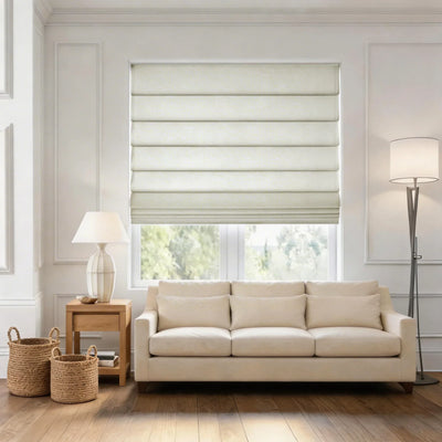 Burlywood Birch 1908-5